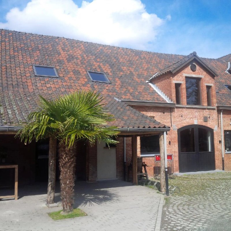 Brasserie Ciconia