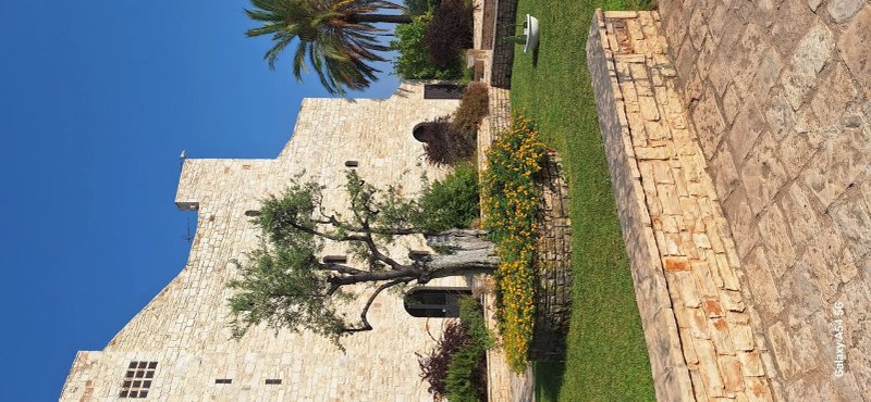 Torre Domini