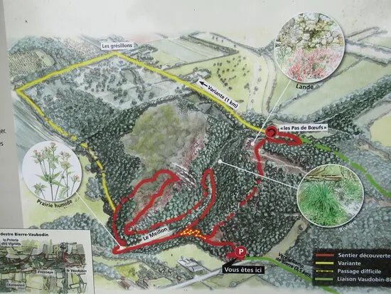 Le Vaudobin