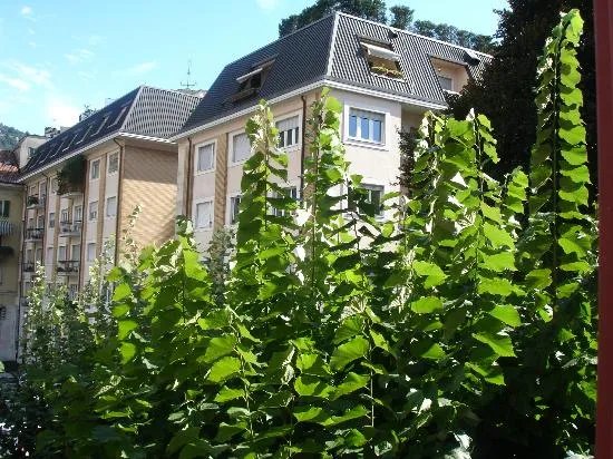 Hotel Centrale