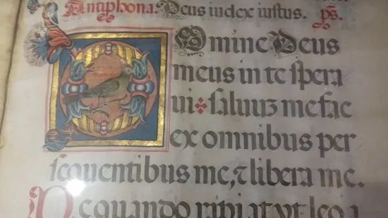 Historia, Regnum et Nobilia