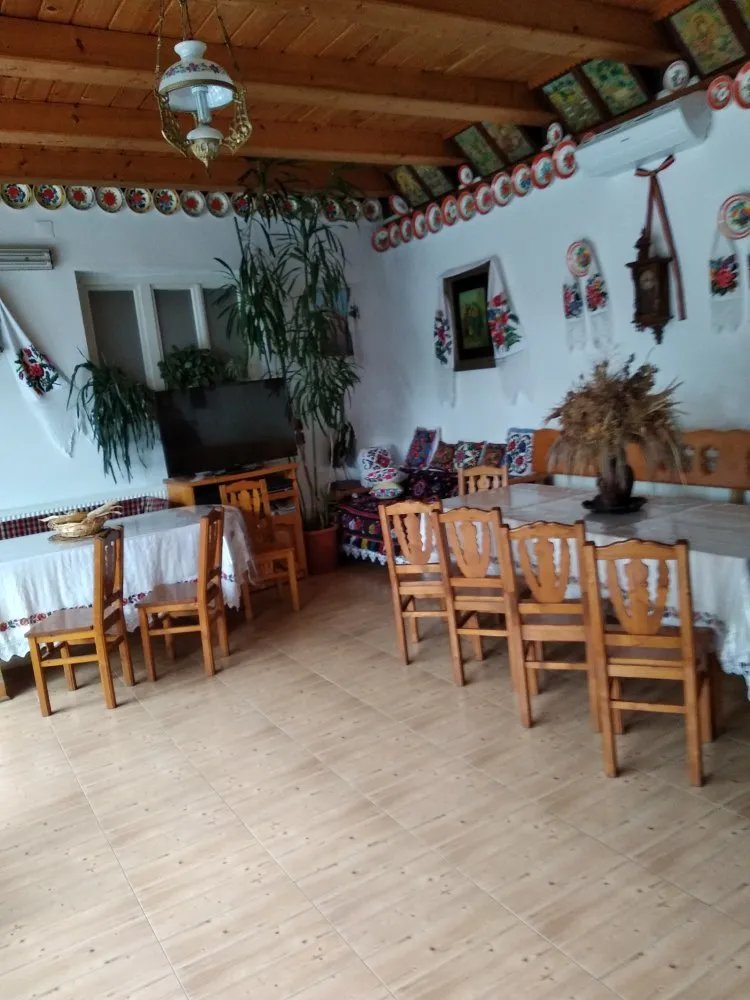 Guesthouse Ileana