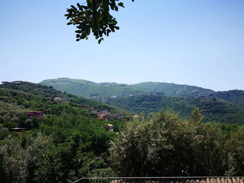 Nonno Luigino