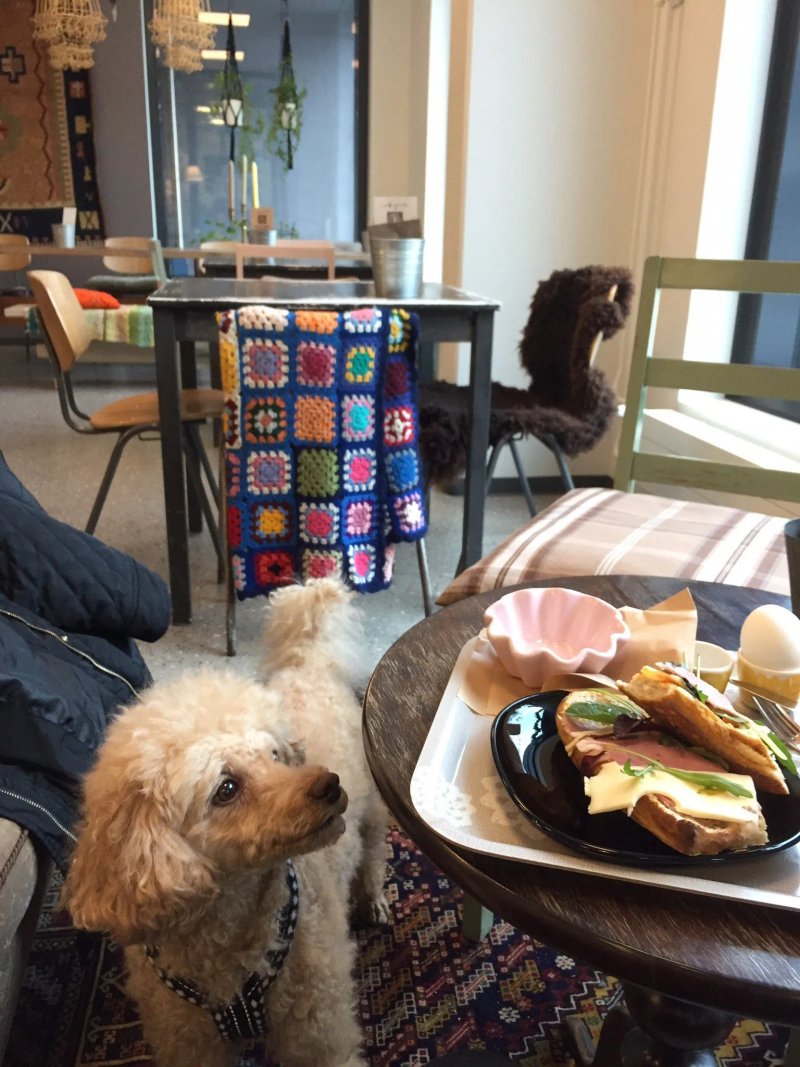 Bakery Cafe Puusti