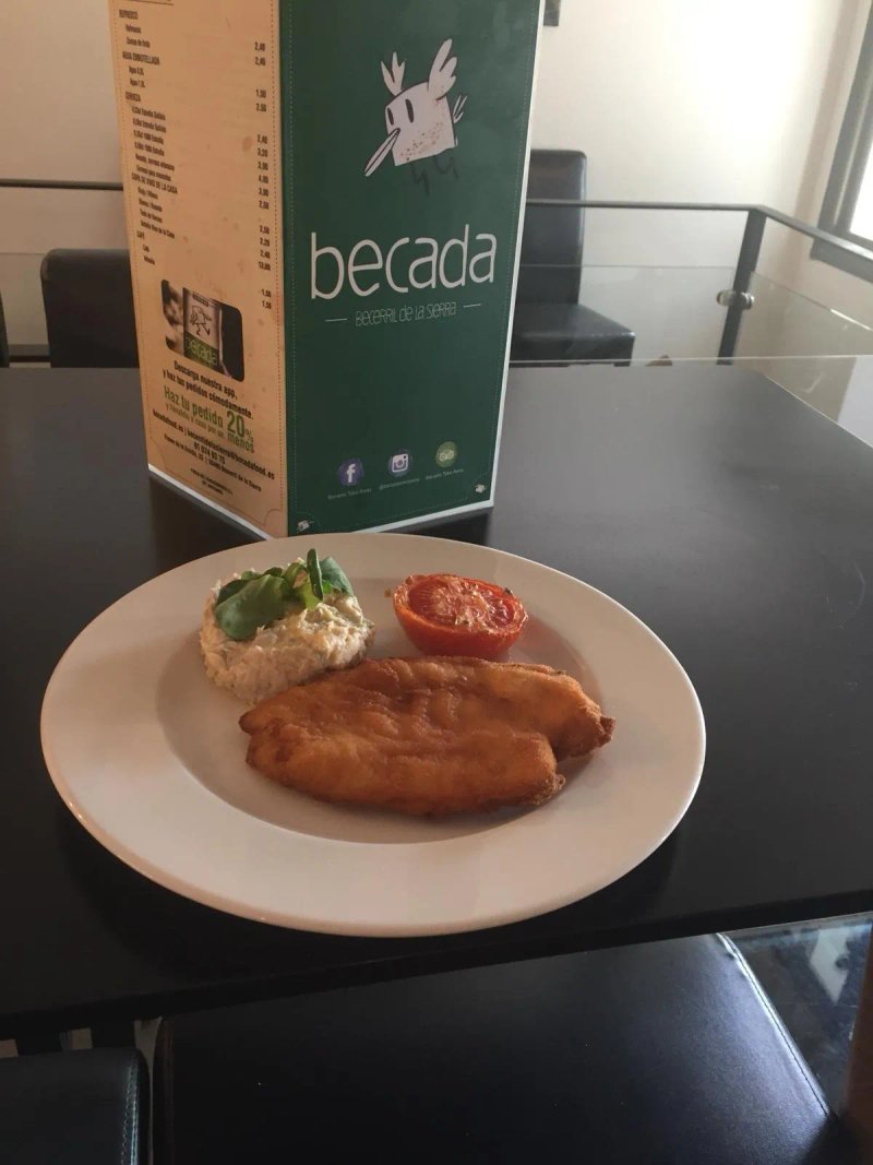 Becada Becerril