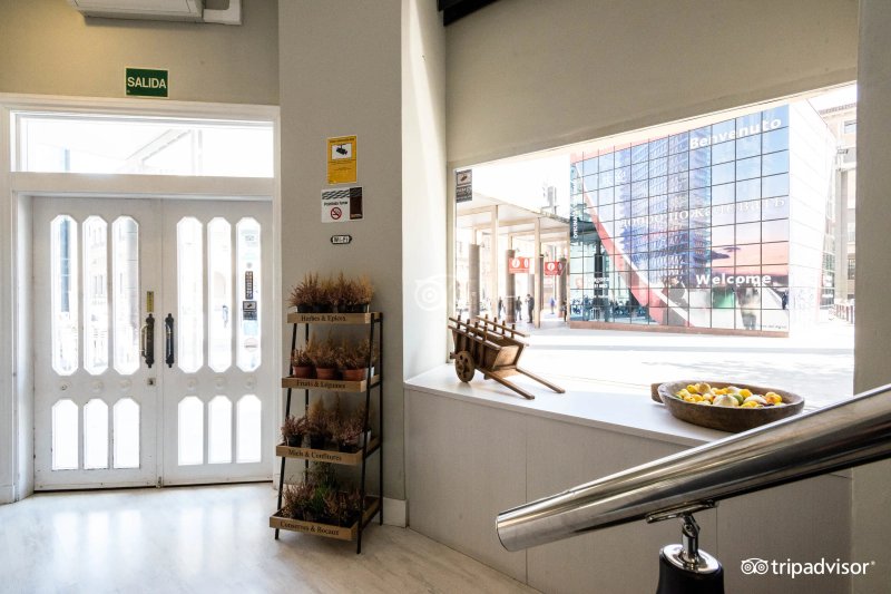 Hotel Pilar Plaza