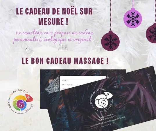 Aux Couleurs Du Cameleon
