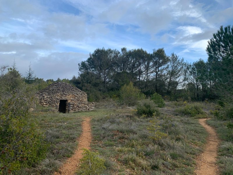 The Coachhouse Yurts
