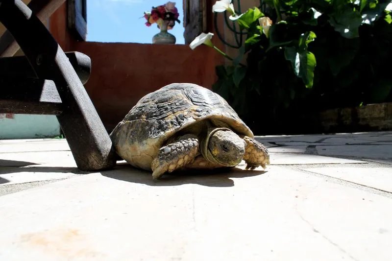 Le Cisterne B&B
