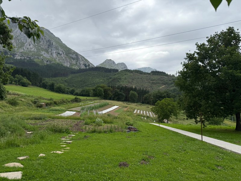 Restaurante Txispa
