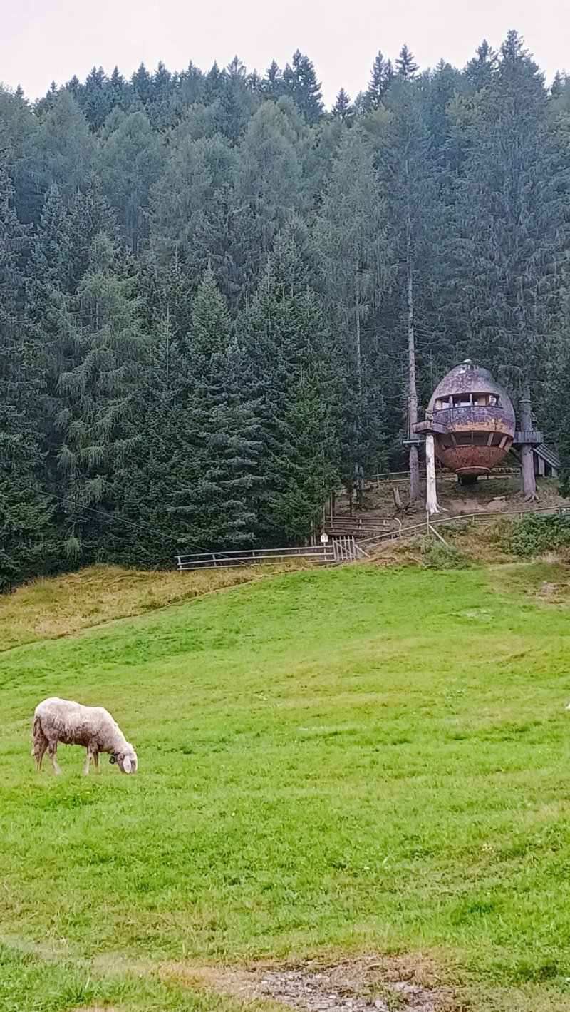 Azienda Agrituristica Malga Priu