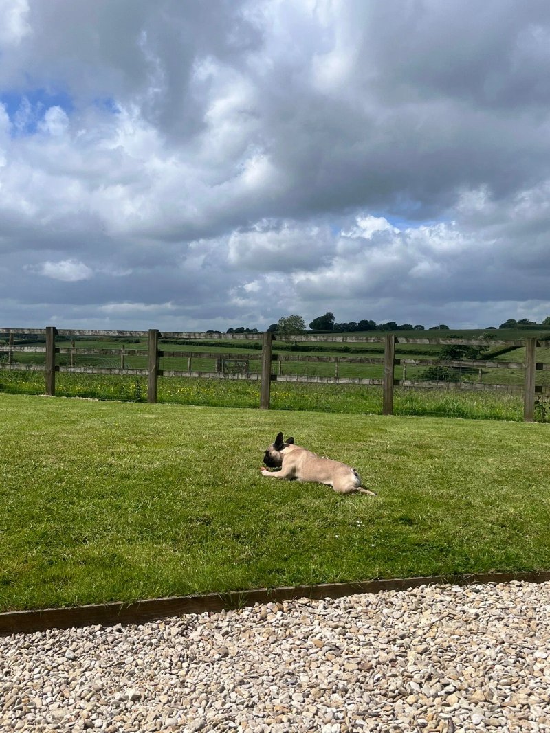 South Coombe Country Cottages