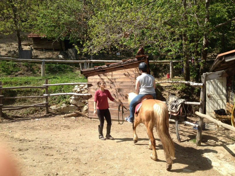 Ca' dell'Alpe Agriturismo