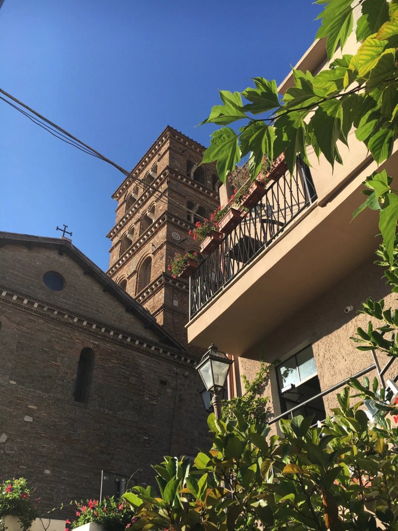 Fortini Lab