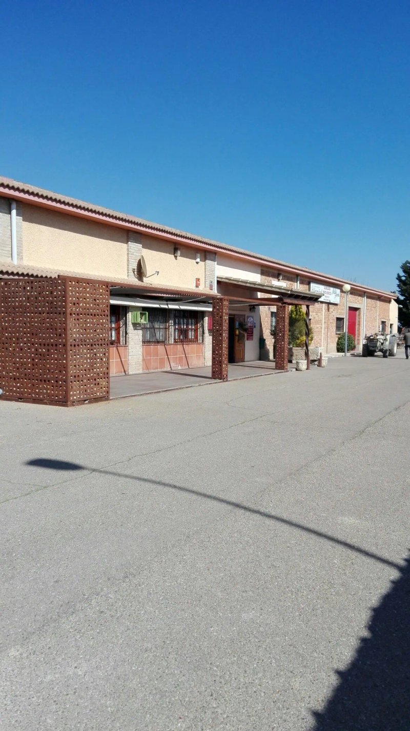 Meson Del Aceite