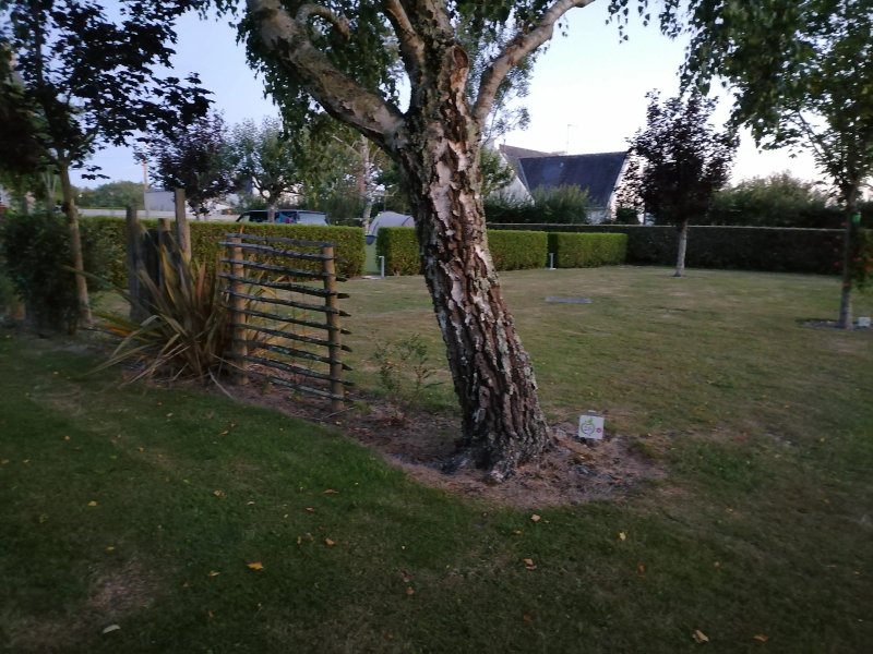 Camping du Vieux Verger