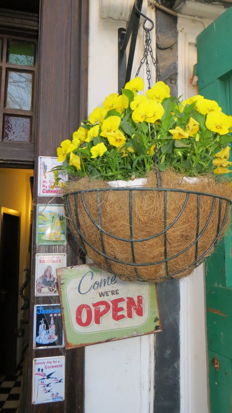 Dingle's Irish Pub