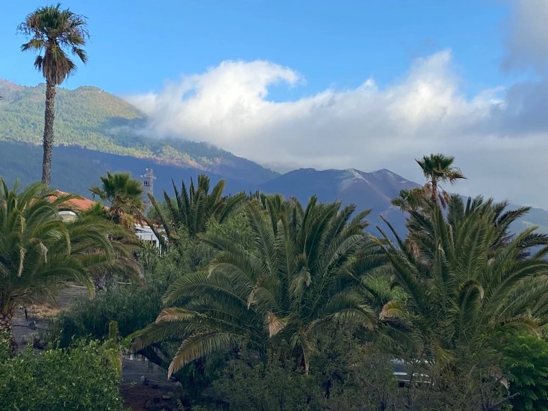 Finca La Luna Baila