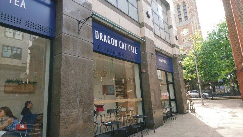 Dragon Cat Cafe