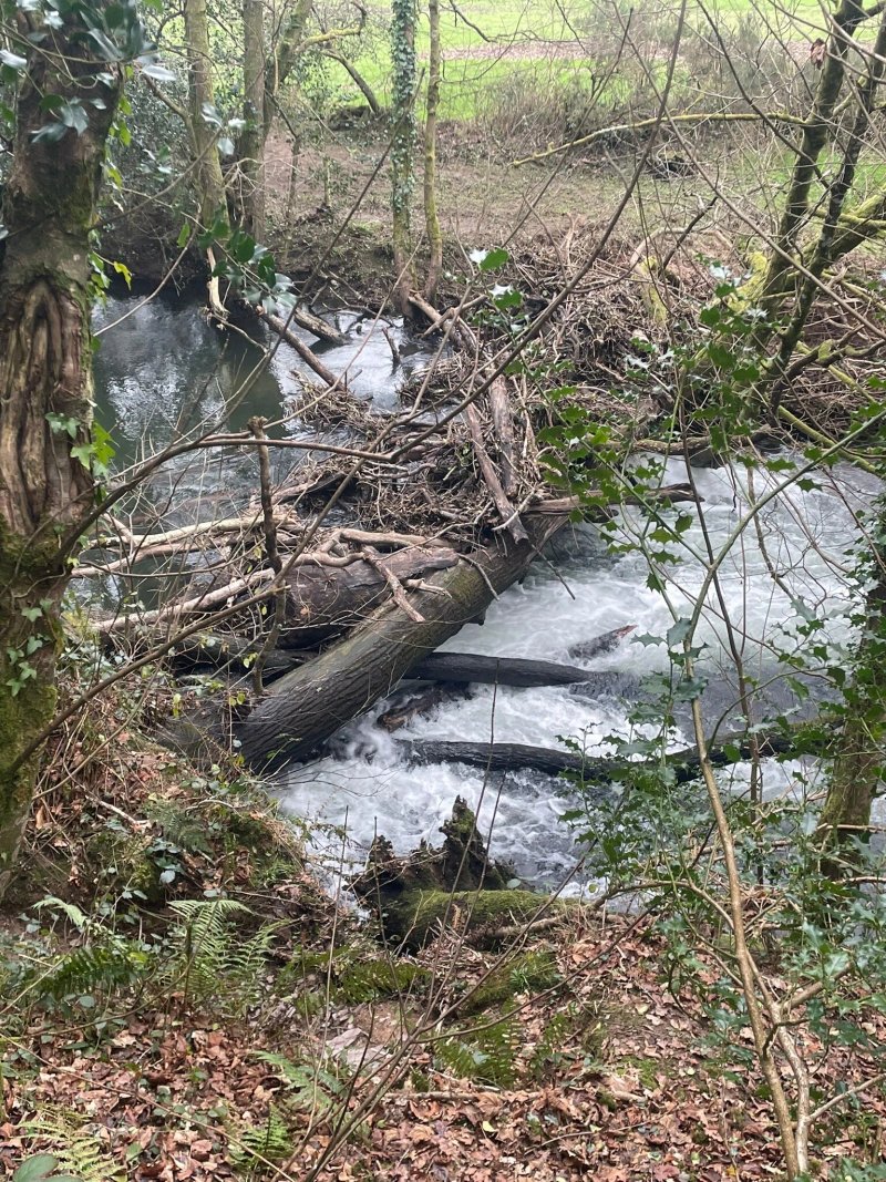 Notter Bridge Holiday Park