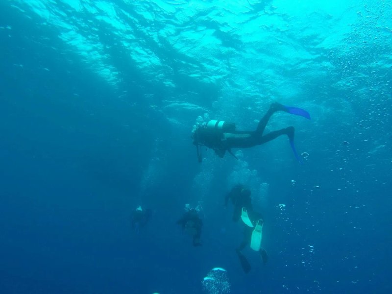 Diving Center Pongo