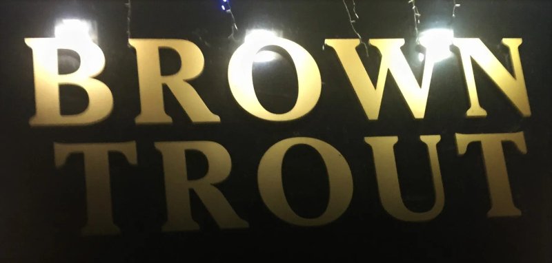 The Brown Trout