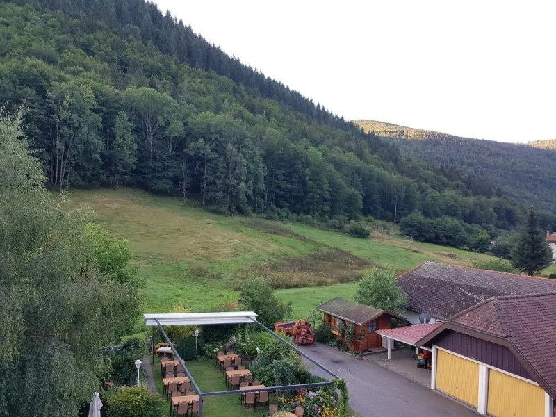 Hotel Gasthaus Hirschen