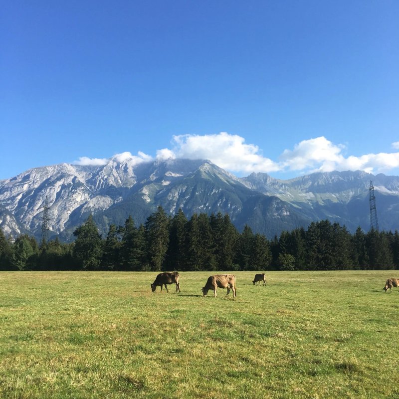 Landhotel Gasthof Eichhof