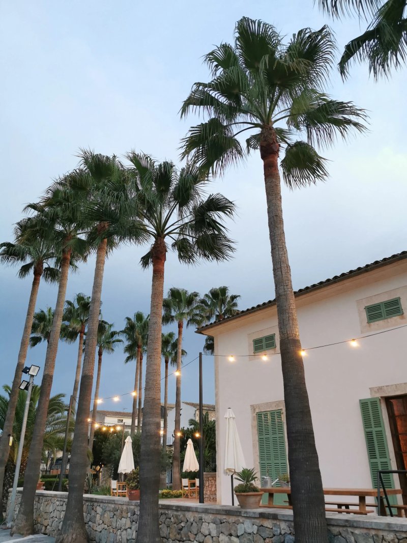 Curolla Hotel