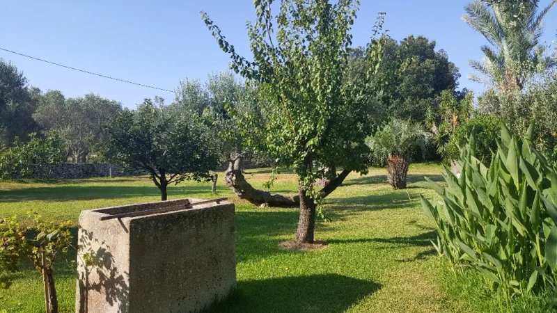 Alba Bed & Breakfast
