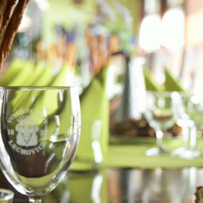 Restaurace - Penzion Lesna