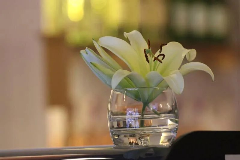 Yana Sushi Restaurant