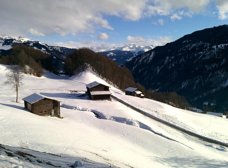 Gasthaus Alpina