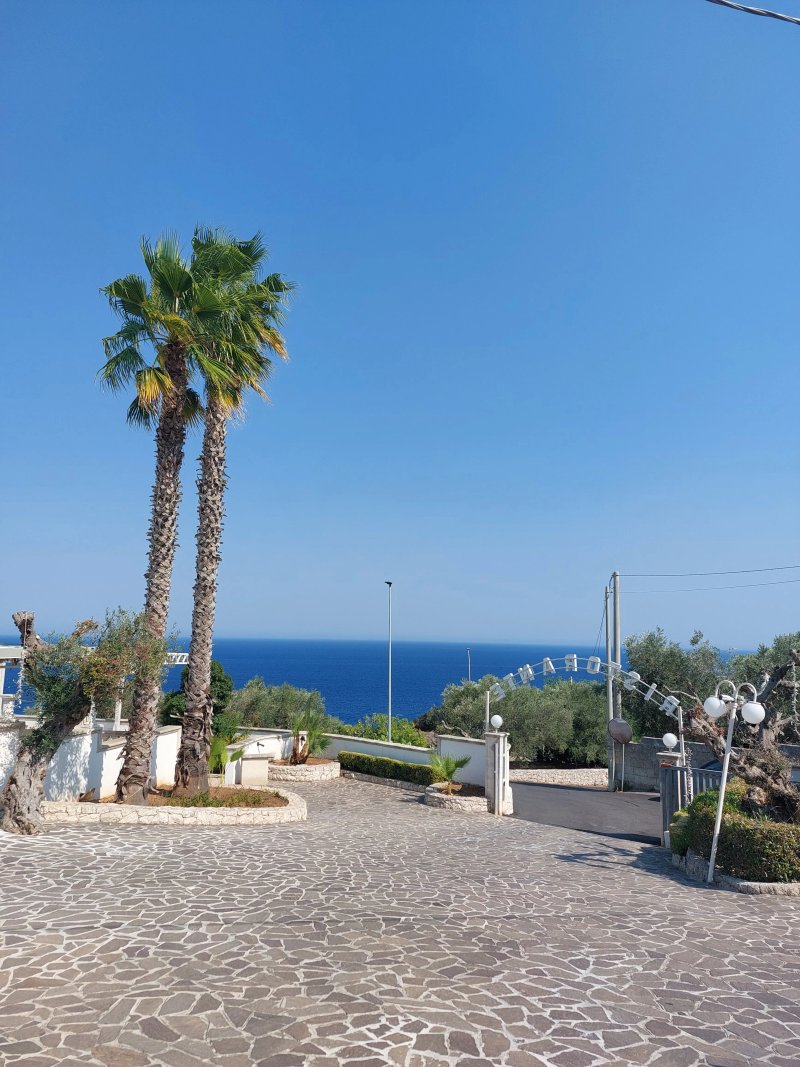 Adriatico