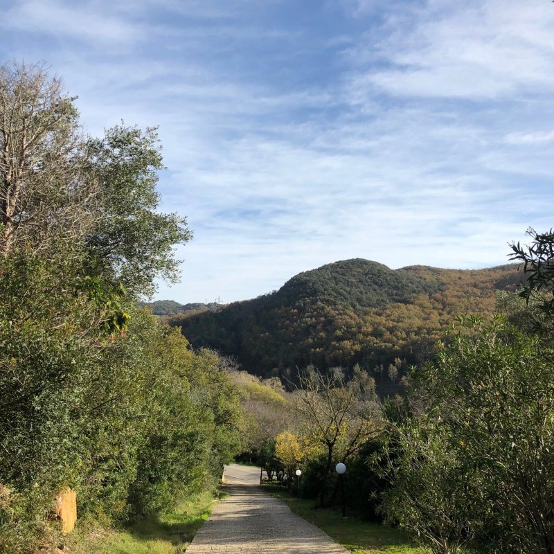Casale Natura e Cavallo Restaurant