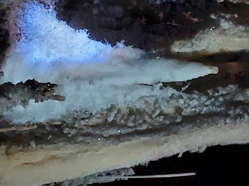 Grotte Is Zuddas