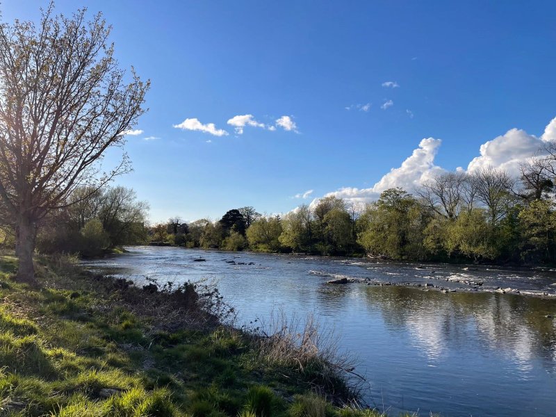 Sleningford Watermill Caravan & Camping Park