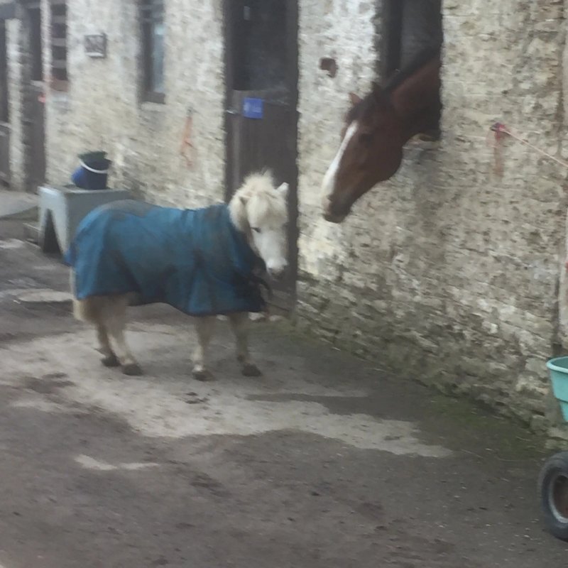 Eden Vale Farm