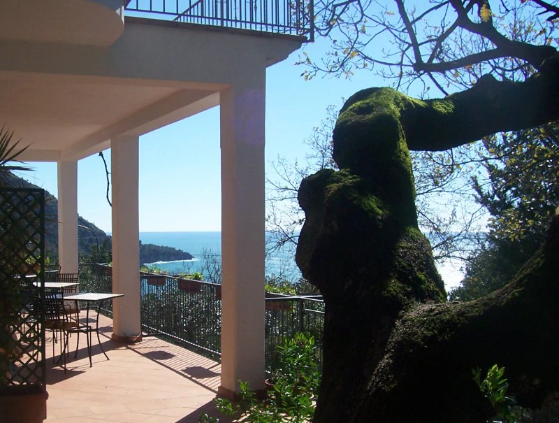 La Casa del Gelso