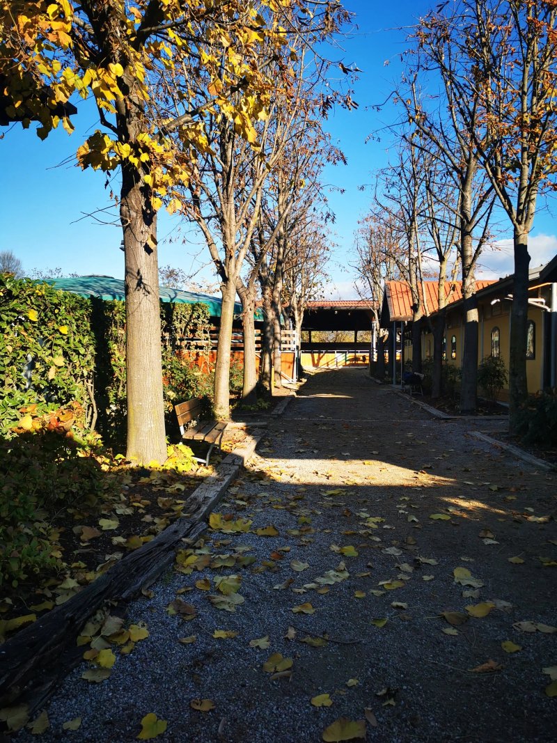 Agriturismo Monsereno