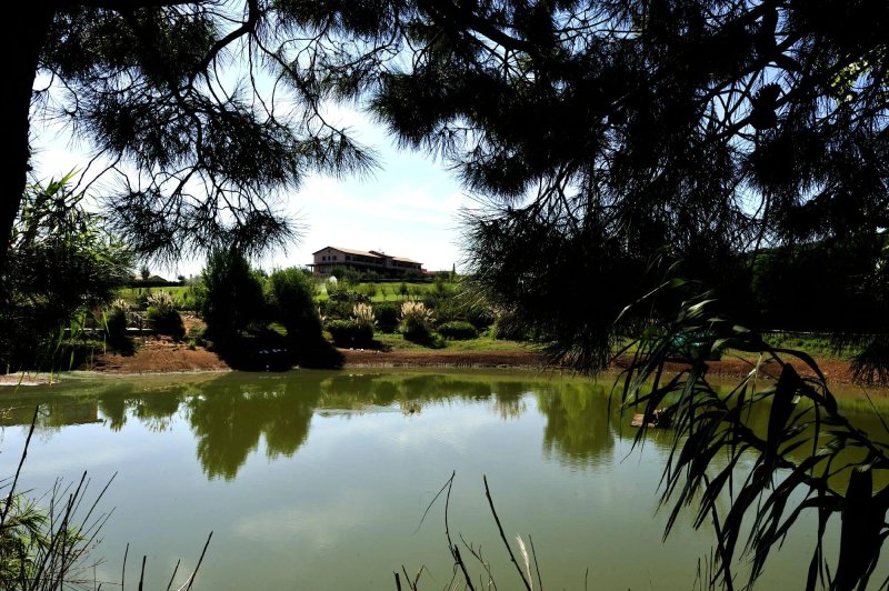 Popilia Country Resort