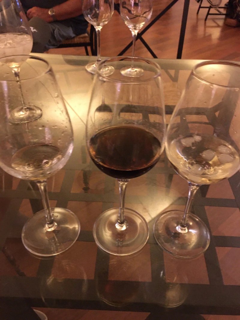 Bodega Gonzalez Byass