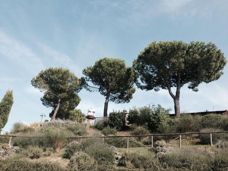 Agriturismo Poggio Pistolese