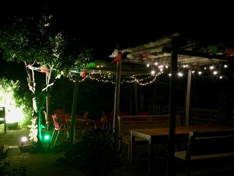 Iguana Bar & Restaurant