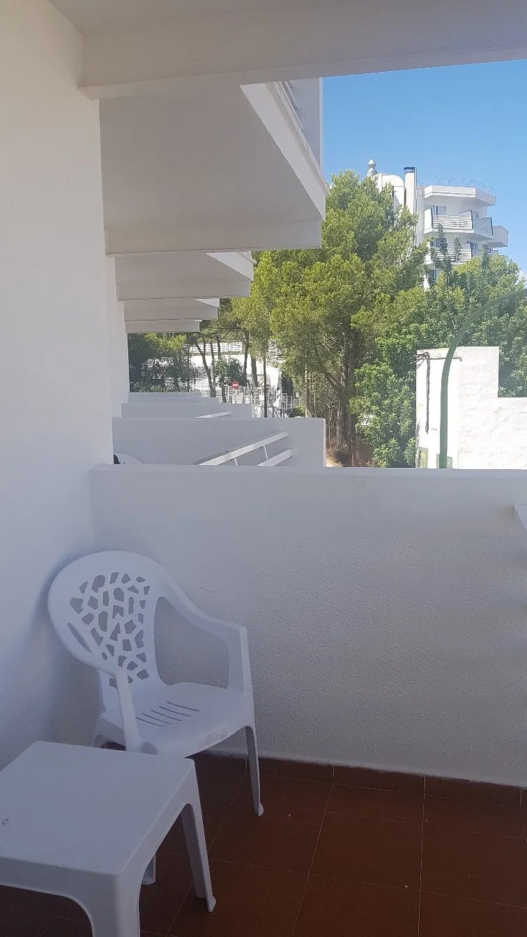 AzuLine Hotel Palmanova Garden