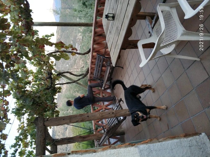 Cortijo Brazal La Ventaja