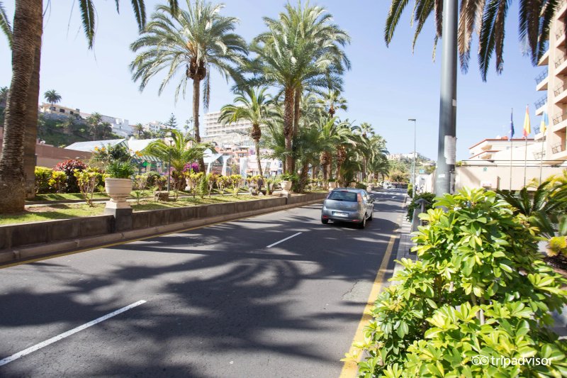 Be Live Experience Orotava