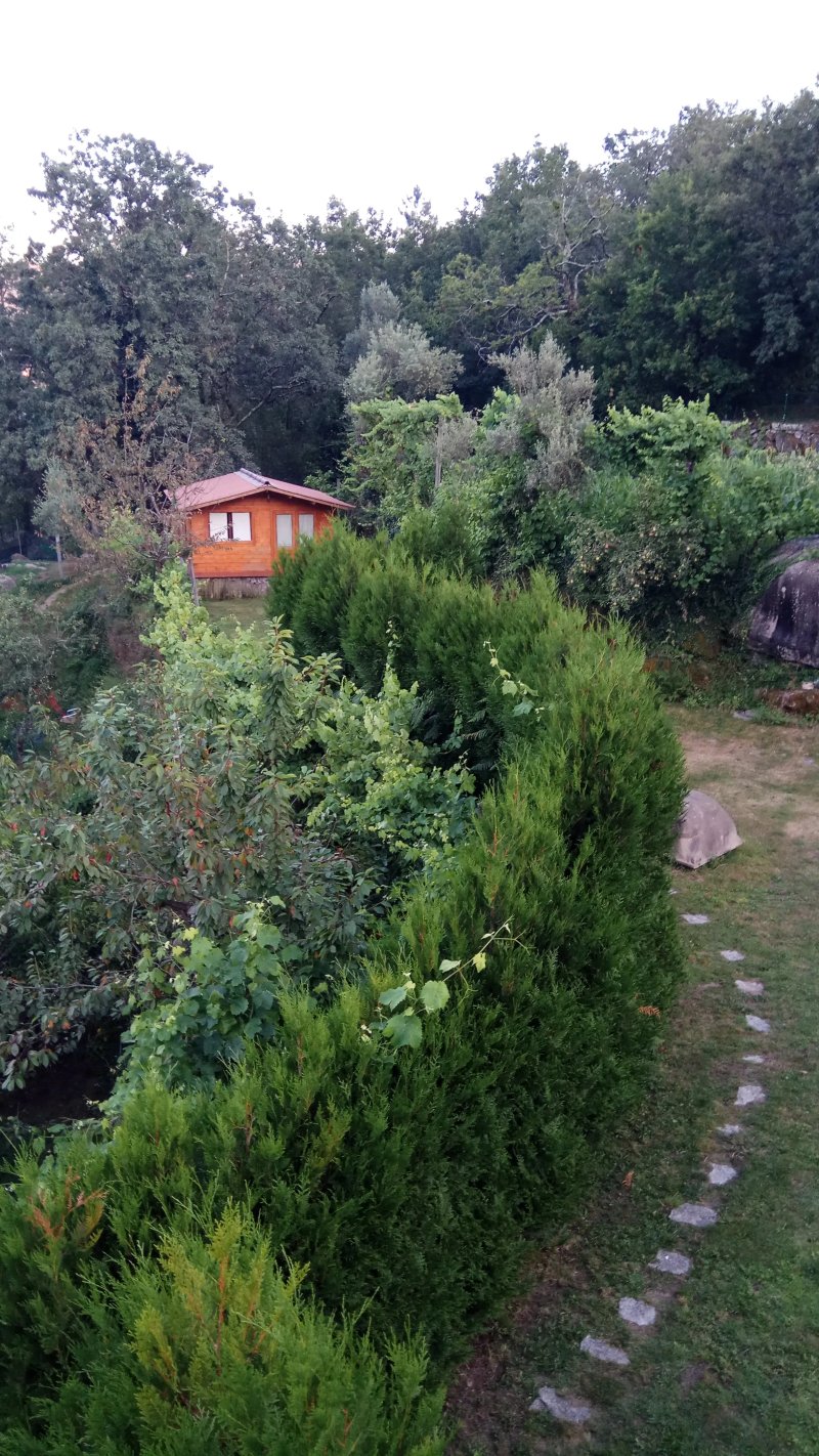 Casa do Criado