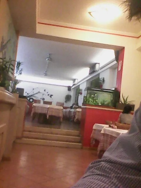 Pizza Leggera - Il Piacere