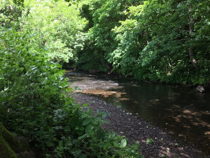 Holme Valley Camping and Caravan Site